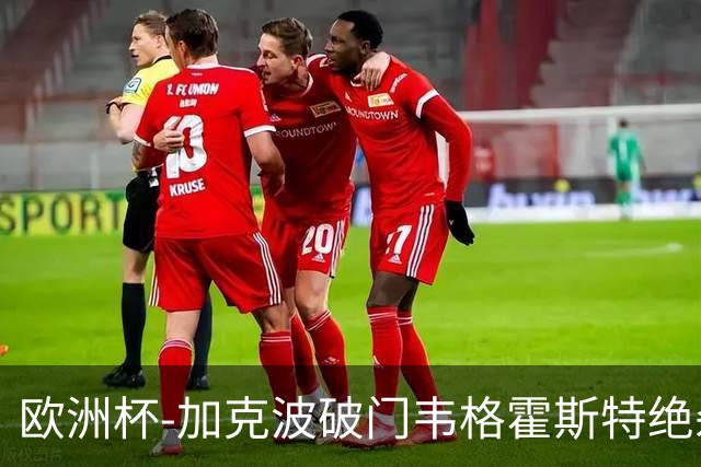 欧洲杯-加克波破门韦格霍斯特绝杀 荷兰2-1波兰