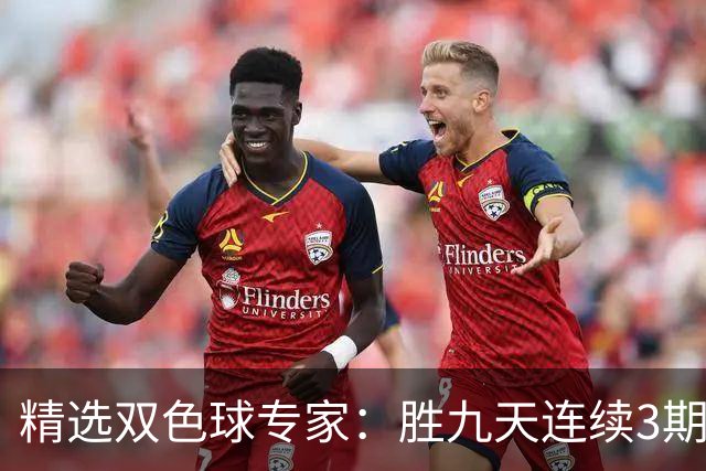精选双色球专家：胜九天连续3期中奖揽超300万
